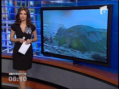 Cortul care transforma lumina soarelui in energie electrica