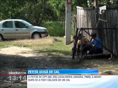 Fetita ucisa de cal in Timis