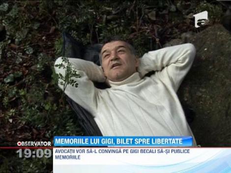 Memoriile lui Gigi Becali, bilet spre libertate