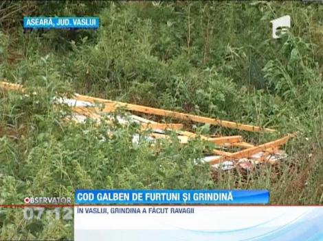 Cod galben de furtuni si grindina