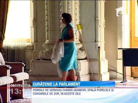 Curatenie la Parlament