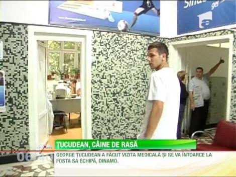 George Tucudean a revenit la Dinamo