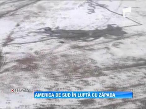 America de Sud, in lupta cu zapada