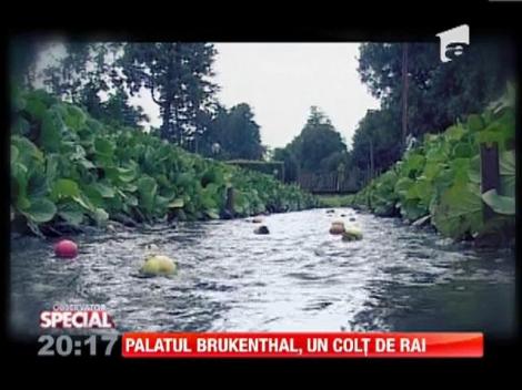 Palatul Brukenthal, un adevarat colt de rai