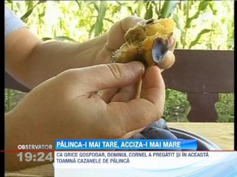 Guvernul majoreaza accizele pe alcool. Tuica va fi cu 20% mai scumpa