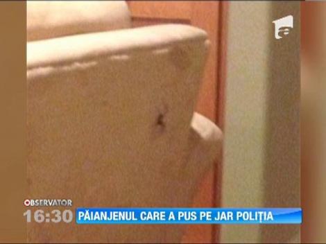 Paianjenul care a pus pe jar politia