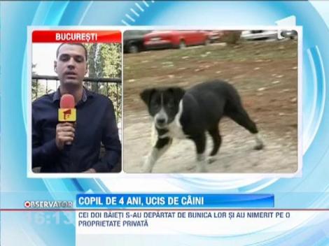 Inspaimantator! Un copil de 4 ani a fost sfasiat de caini intr-un parc din Capitala