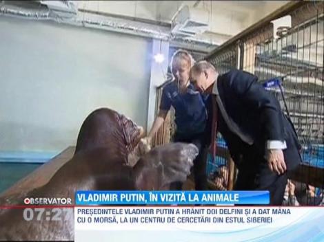 Vladimir Putin, in vizita la animale