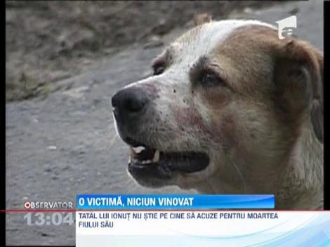 Legistii,ingroziti de atacul cainilor