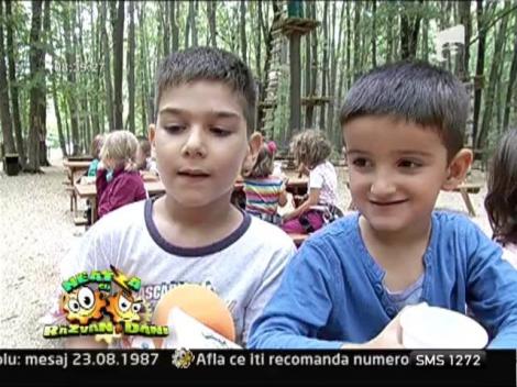 Aventura si adrenalina printre copaci