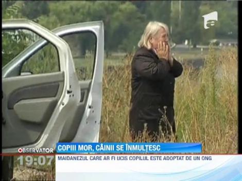 In medie, 40 de bucuresteni ajung zilnic la urgenta muscati de maidanezi