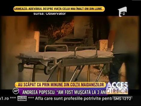 Au scapat ca prin minune din coltii maidanezilor! Mai multe vedete de la noi au fost victimele cainilor fara stapan