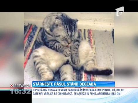 O pisca din Rusia starneste rasul stand degeaba