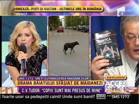 C.V. Tudor, aparatorul maidanezilor: "Si taximetristii ucid copii. Haideti sa-i eutanasiem si pe ei!"