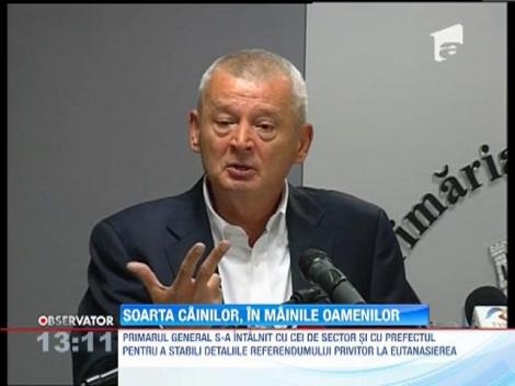 Sorin Oprescu vrea sa organizeze referendum privitor la eutanasierea cainilor