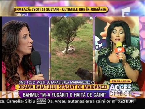 Adriana Bahmuteanu, despre referendumul lui Oprescu: "Intre viata unui maidanez si a unui copil, aleg viata unui copil"