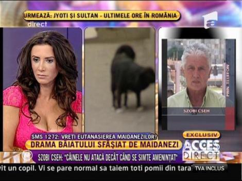 Szobi Cseh: "Cainele nu ataca decat cand se simte amenintat"