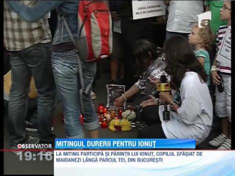 Miting anti-maidanezi