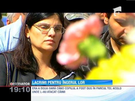 Mama lui Ionut face primele marturii!