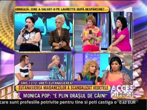 Eutanasierea maidanezilor a scandalizat vedetele la "Acces Direct"! 