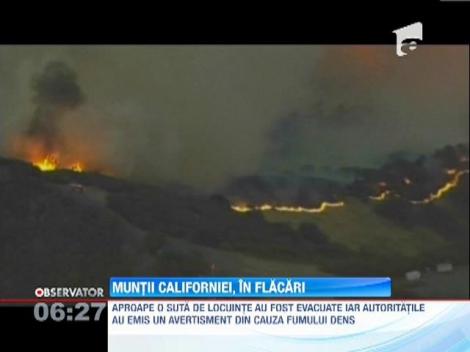 Incendiile de vegetatie fac ravagii in muntii din California