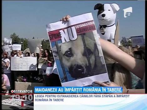 Legea pentru eutanasierea cainilor fara stapan a impartit Romania in tabere