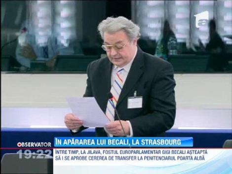 Vadim Tudor a cerut eliberarea lui Gigi Becali de la tribuna Parlamentului European