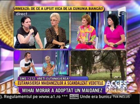 Eutanasierea cainilor fara stapan imparte Romania in doua
