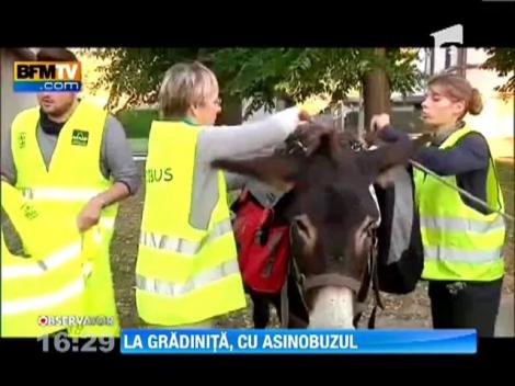 Copii din Franta merg la gradinita cu magarusii
