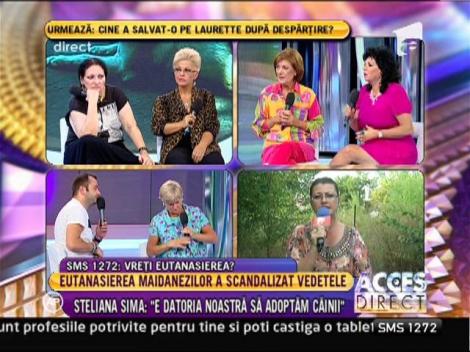 Argumente pro si contra eutanasierii cainilor maidanezi