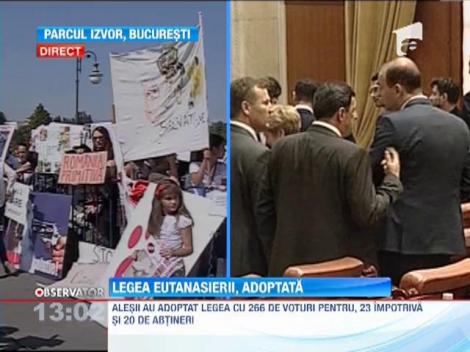 UPDATE! Legea care prevede eutanasierea cainilor maidanezi a fost adoptata