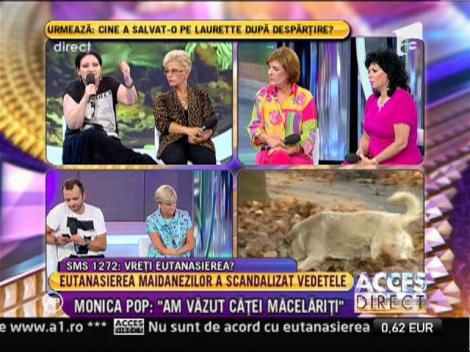 Vedetele, dezbateri privind legea cainilor fara stapan