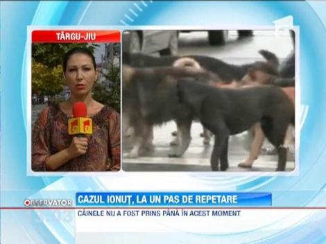 Cazul Ionut Anghel, la un pas de repetare