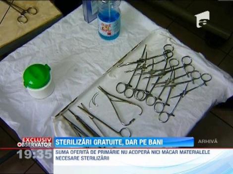 Sterilizari gratuite, pe banii veterinarilor