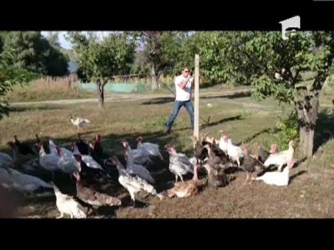 Cum se antreneaza Mircea Badea pentru cel mai tare meci de box