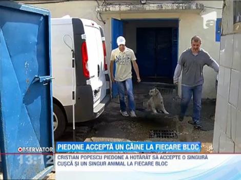 Cristian Popescu Piedone a hotarat sa accepte un caine la fiecare bloc