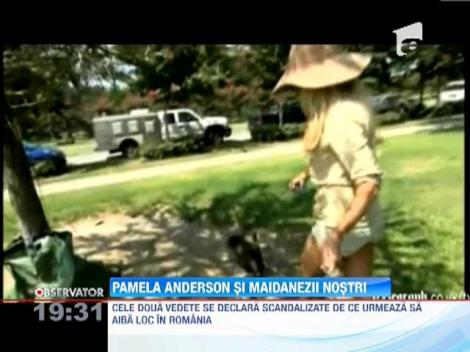 Sex-simbolul Pamela Anderson intra in lupta pentru maidanezii din Romania