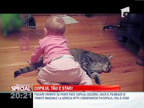 Pisica care accepta sa fie jucarie de plus