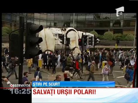 Urs polar gigant pe strazile din Londra