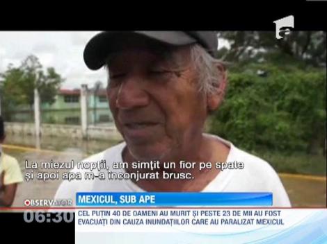 Mexic: Cel putin 40 de oameni au murit in urma unei furtuni tropicale