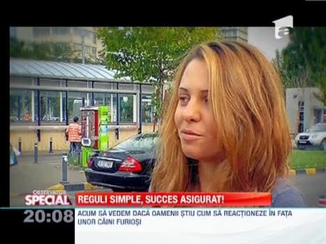 Cum sa scapi atunci cand esti incoltit de o haita de caini maidanezi