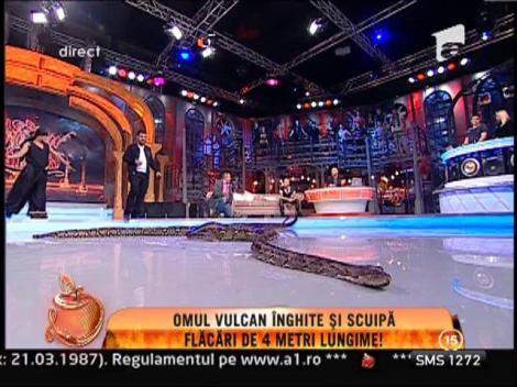 Serpi, tarantulele si crocodili, in platoul de la Un Show Pacatos