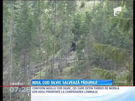 Noul cod silvic salveaza padurile