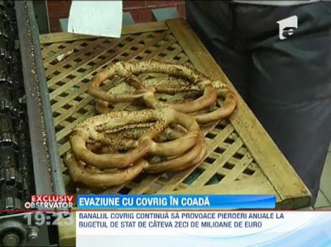 Evaziune fiscala, secretul succesului in afacerile cu paine si covrigi