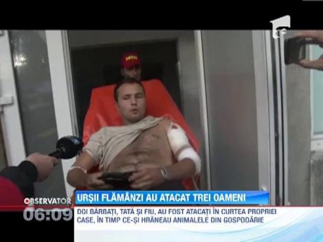 UPDATE / Trei barbati din Dambovita, atacati de o ursoiaca