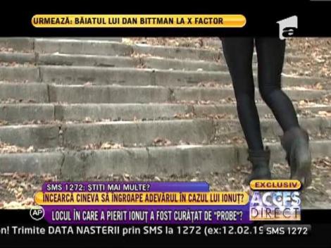 Locul in care a murit Ionut s-a transformat peste noapte! Cineva a taiat copacii si a curatat zona de gunoaie