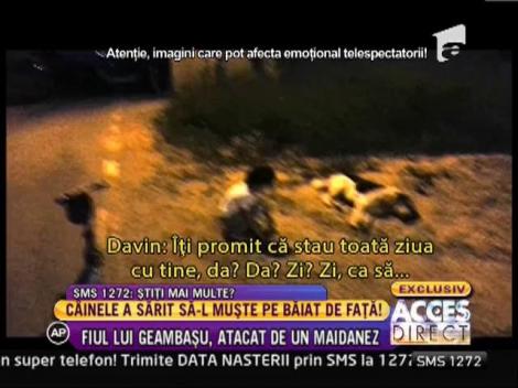 Strigator la cer! Davin, fiul de patru ani al lui Calin Geambasu, atacat de un maidanez