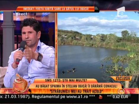 Stelian Ogica risca sa piarda conacul de pe mosia de la Stoenesti!