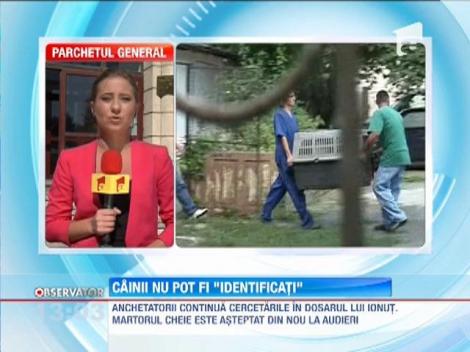 Institutul de criminalistica sustine ca nu poate identifica ADN de animal in cazul uciderii lui Ionut Anghel