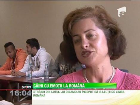 Strainii din lotul lui Dinamo au inceput sa ia lectii de limba romana